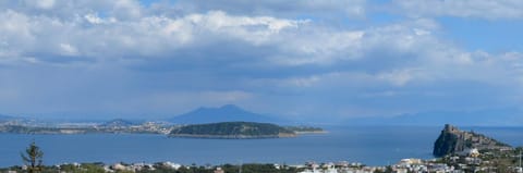 Horse-riding, View (from property/room), Diving