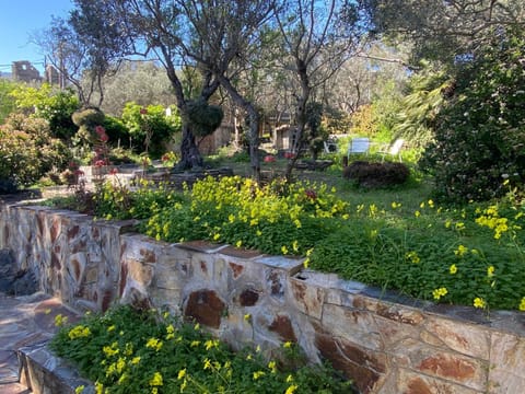 Spring, Day, Garden view