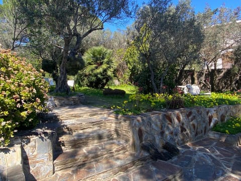 Spring, Day, Garden view