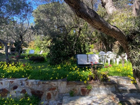 Spring, Day, Garden view