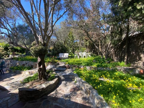 Spring, Day, Garden view