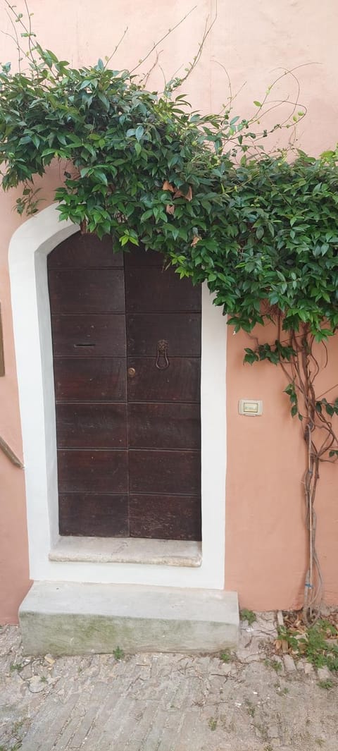 House of Leaves Apartment in Trevi