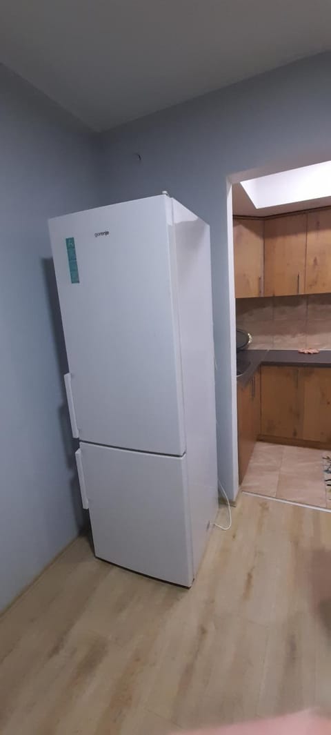 Apartman Vanja Apartment in Serbia