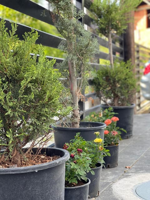 Rock Hostel Bed and Breakfast in Serbia