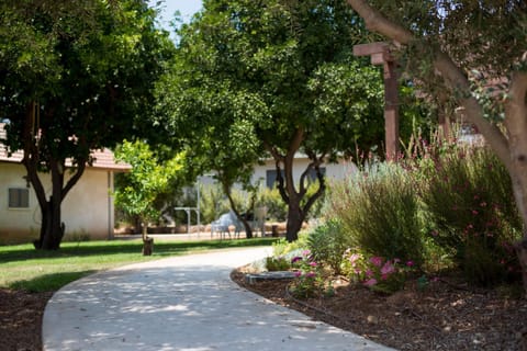 Natural landscape, BBQ facilities