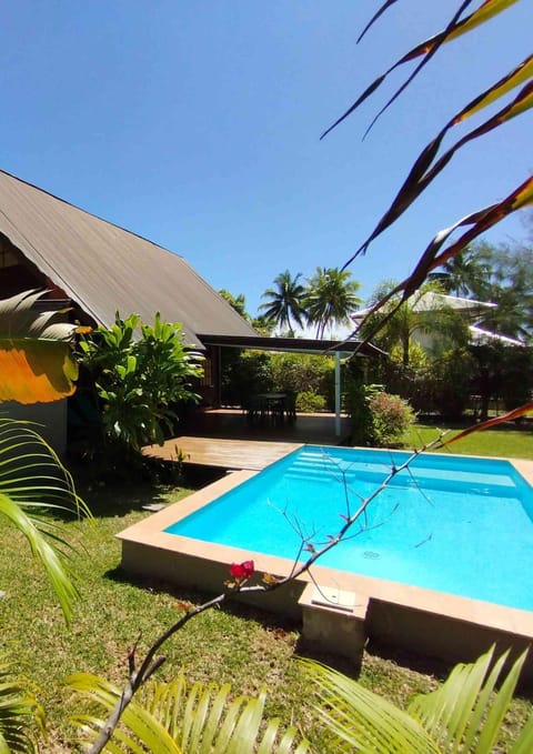 Garden, Garden view, Pool view, Swimming pool, sunbed
