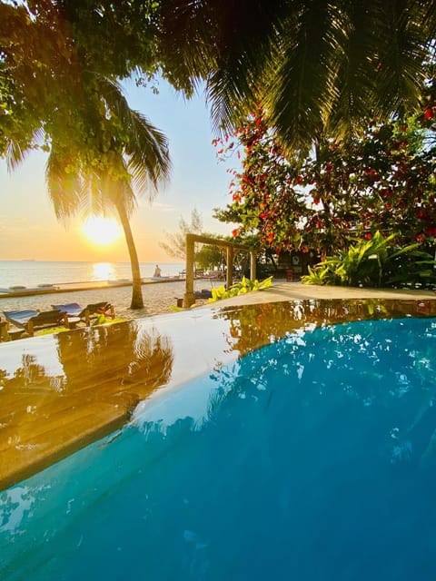Natural landscape, Beach, Pool view, Sea view, Swimming pool, Sunset