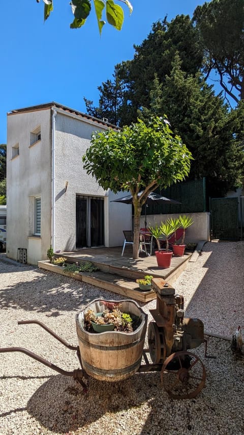 Property building, Garden, Garden view