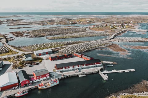 Bird's eye view, Area and facilities