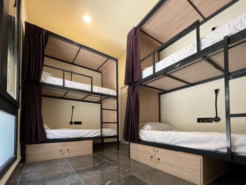 Bed, Photo of the whole room, Bedroom, bunk bed