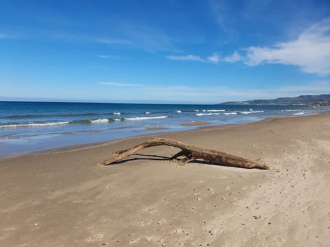 Villa Maddalena guest house Apartment in Sardinia