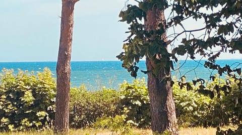 Day, Natural landscape, Beach, Sea view
