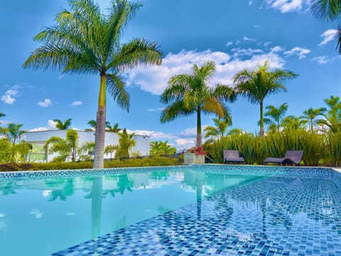 Spring, Day, Garden, Garden view, Pool view, Swimming pool, Swimming pool, sunbed
