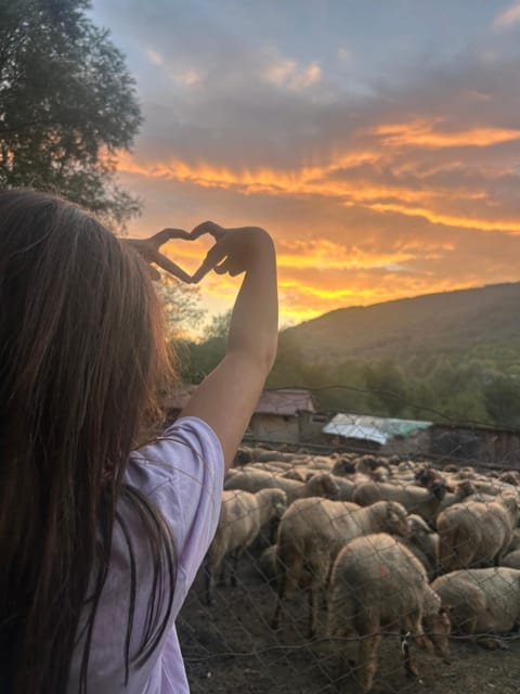 Nearby landmark, Day, People, Natural landscape, Animals, Mountain view, Sunset