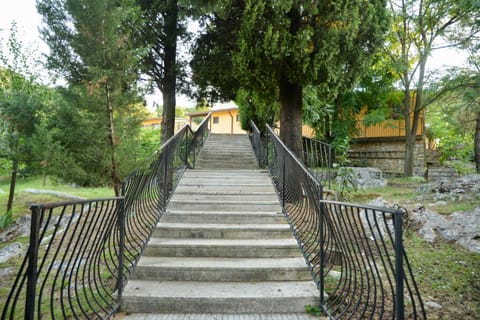 Natural landscape, Garden, Garden view