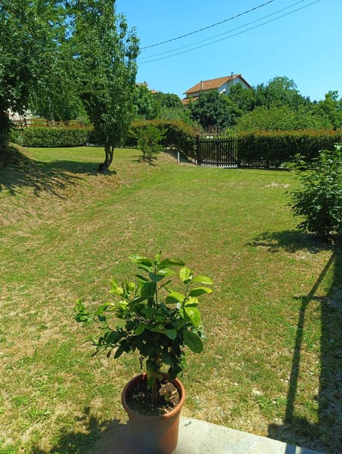 Day, Garden