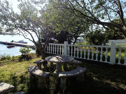 Patio, Garden, Garden view