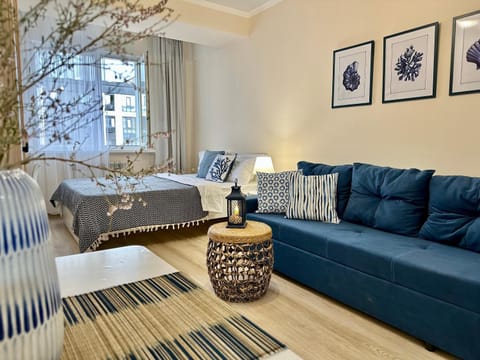 Bed, Living room, Photo of the whole room, Seating area, Bedroom