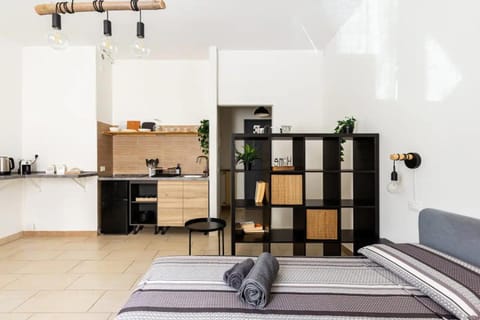 Bed, Kitchen or kitchenette, Living room, Photo of the whole room, Bedroom, stove