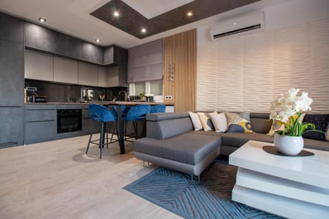 Living room, Seating area, Dining area, air conditioner
