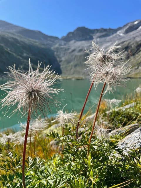 Brandner Astn House in Salzburgerland