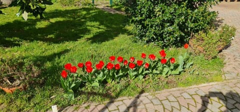 Casa Nostra Bed and Breakfast in Imola