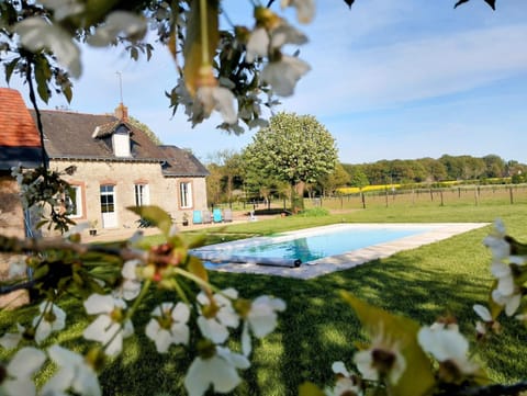 Property building, Spring, Day, Natural landscape, Garden, Garden view, Garden view, Swimming pool, Time of day, Quiet street view