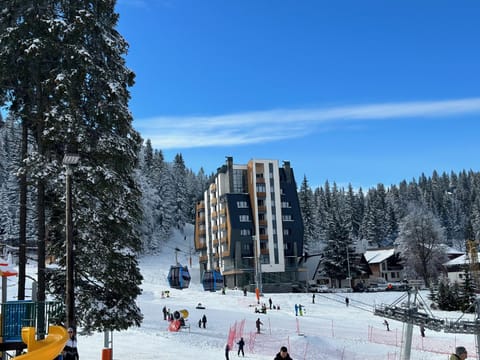 Property building, Winter, Skiing