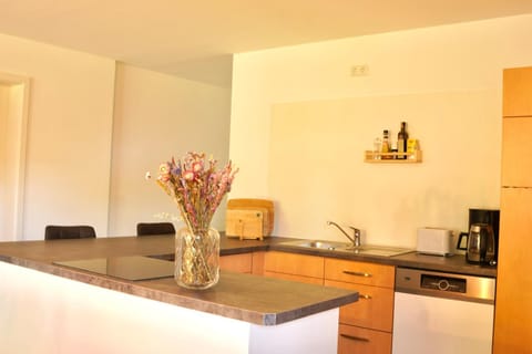 Coffee/tea facilities, Kitchen or kitchenette, stove