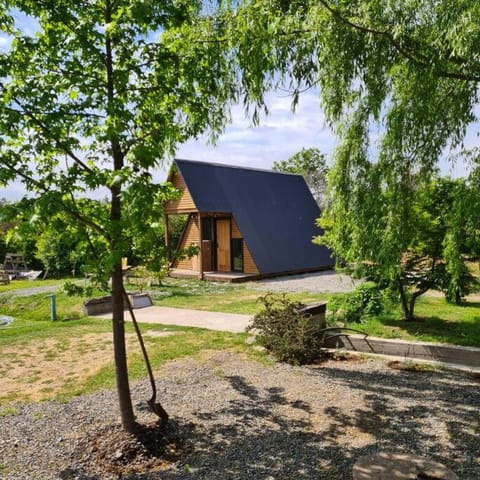 Day, Natural landscape, Garden, Garden view