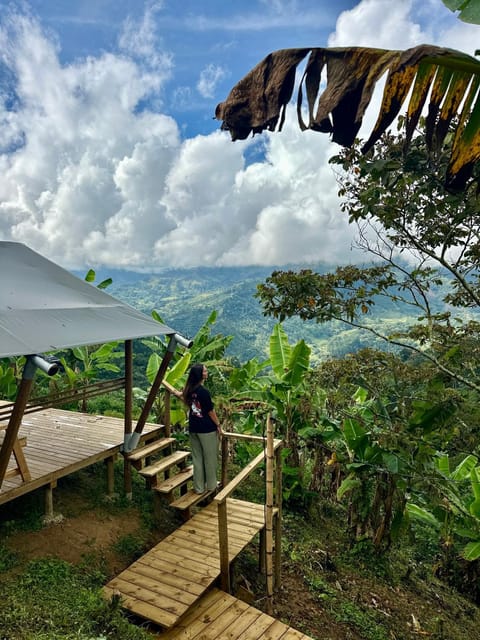 View (from property/room), Bedroom