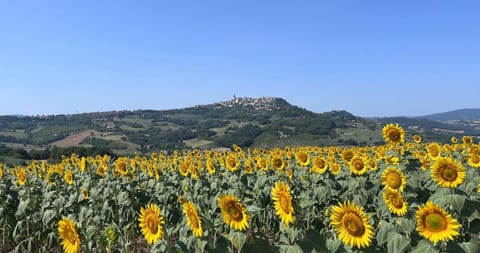 Colle Costanza House in Umbria