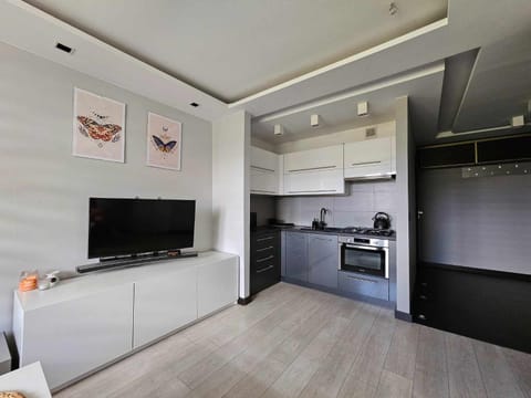 TV and multimedia, Kitchen or kitchenette, minibar, pet friendly