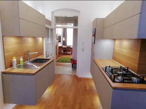 Kitchen or kitchenette, oven