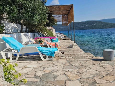 Orange Tree Mediterranean Beachfront House House in Neum