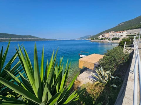 Orange Tree Mediterranean Beachfront House House in Neum