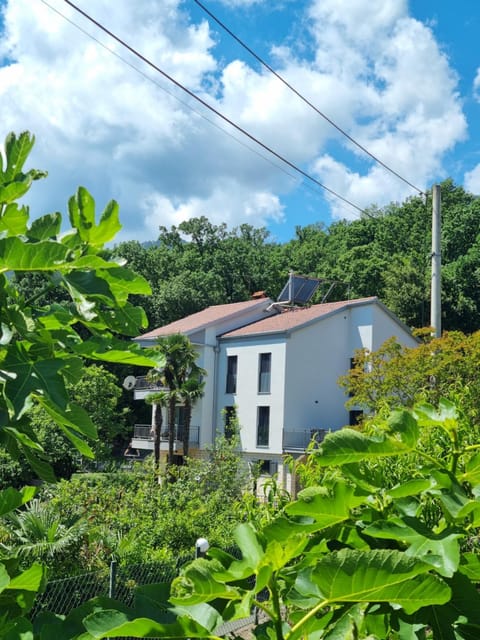 Property building, Garden view
