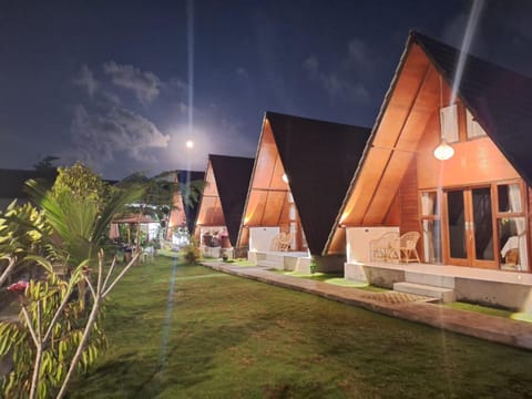 Property building, Night, Garden view