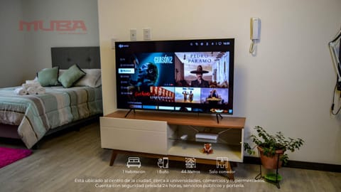 TV and multimedia