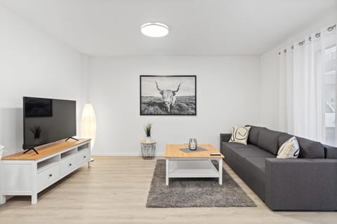 TV and multimedia, Living room, Photo of the whole room, Decorative detail