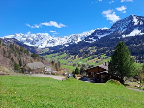 IB Säntis Chalet Chnorz Rooms Bed and Breakfast in St. Gallen, Switzerland