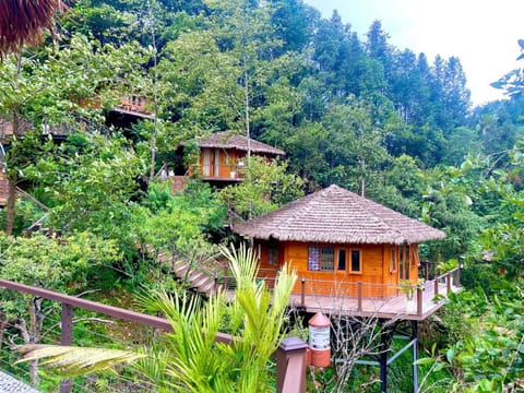 Natural landscape, Garden
