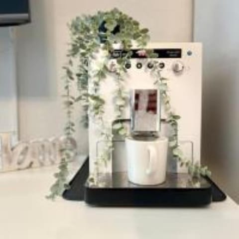 Coffee/tea facilities, kitchen