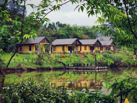 Property building, Natural landscape, Garden view