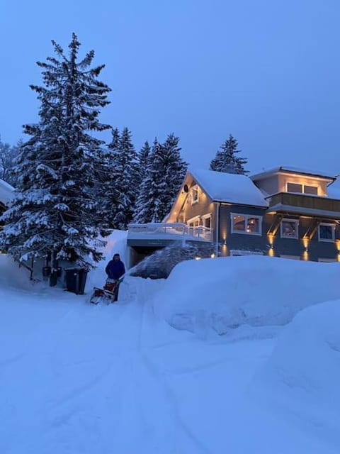 Property building, Natural landscape, Winter