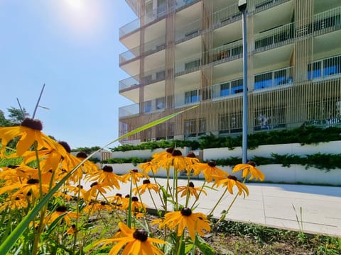 Property building, Garden