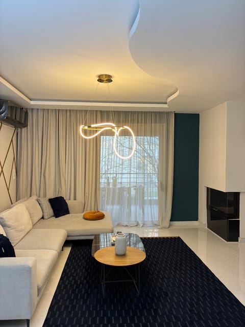 Living room, fireplace, air conditioner