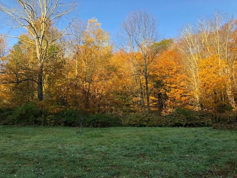 Modern Cottage One (The Lorca, Catskills) House in Shandaken