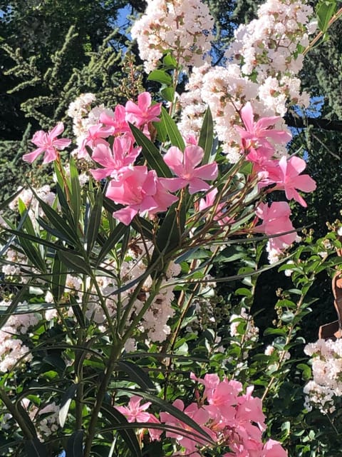 R&B MiDora Modena Bed and Breakfast in Modena