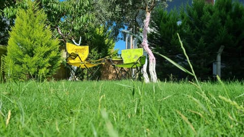 Spring, Day, Natural landscape, Garden, Garden, Balcony/Terrace, Garden view